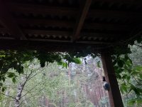 IMG 20250707 221304