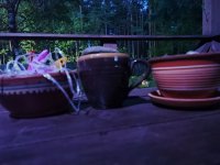 IMG 20250709 001149