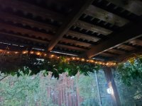 IMG 20250709 230315