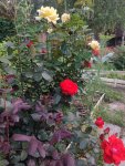 IMG 20250714 214601