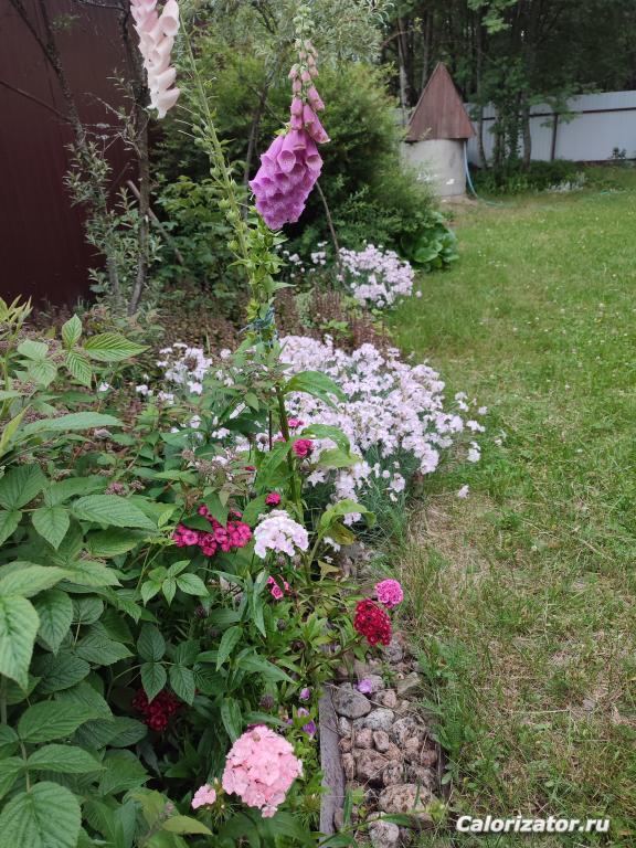 IMG 20250710 191812
