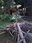 IMG 20250717 224628