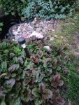 IMG 20250715 223136