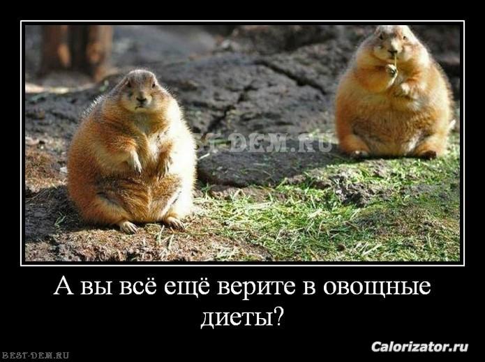 1389486979 prikolnie demotivatori o jovotnih-60