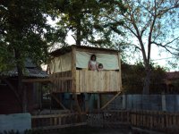 DSC01854
