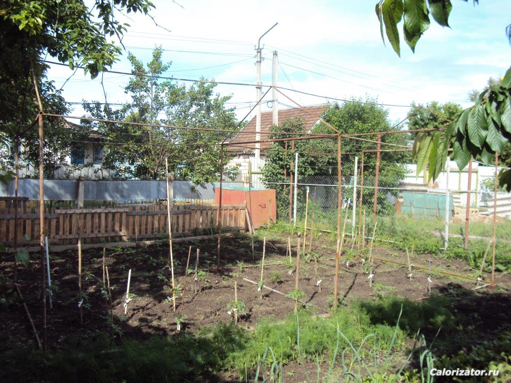 DSC02120