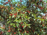 DSC02434