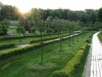 Рheophania аллеи
