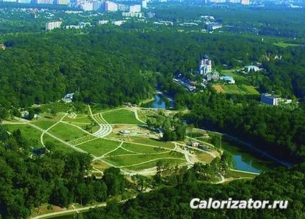 Наш парк сверху