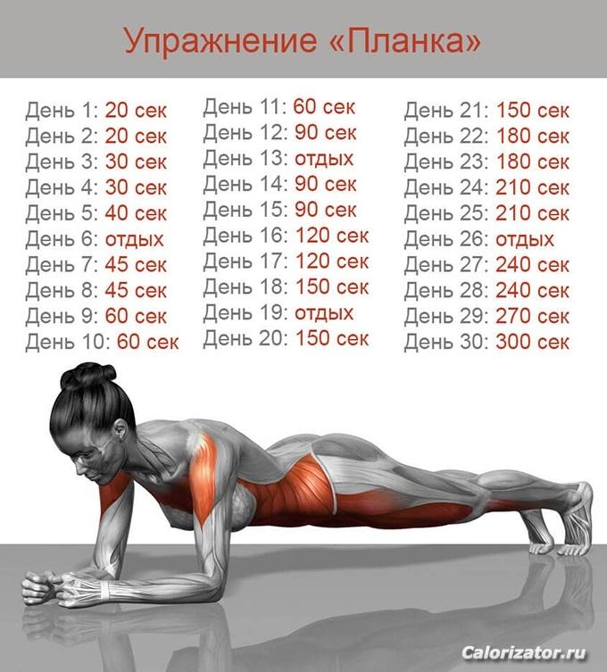 tvoj-bolshoj-gid-po-planke-uchimsya-delat-pravilno-5