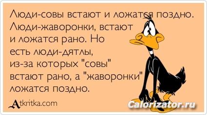 atkritka 1337794516 239
