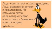 atkritka 1337794516 239
