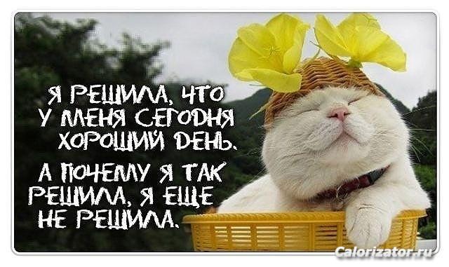 fQwvkvZ5oE