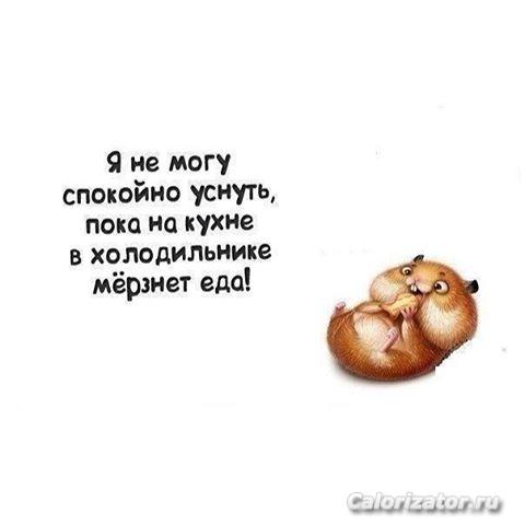 12501668 1537085459929429 1339827006 n