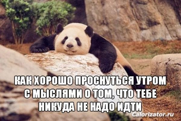 93356 e624a33d 828050117