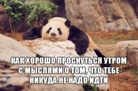 93356 e624a33d 828050117