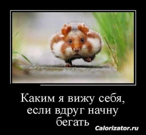 4f8d0d8528bbf6de6c32c096eb5d3e00