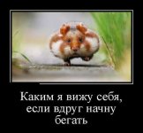 4f8d0d8528bbf6de6c32c096eb5d3e00