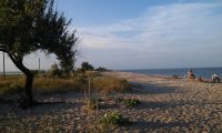 20160629 192630[1]