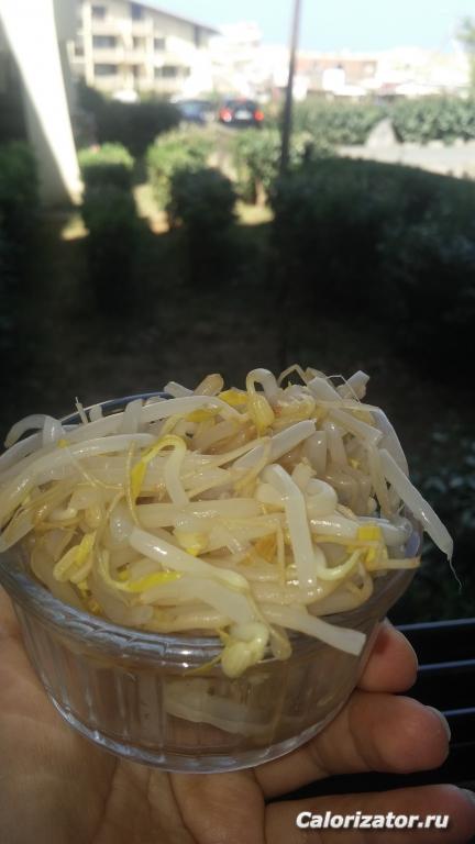Пророщенная кукуруза