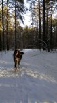photo 2017-11-23 13-50-02