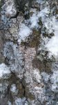 photo 2017-12-15 14-10-44