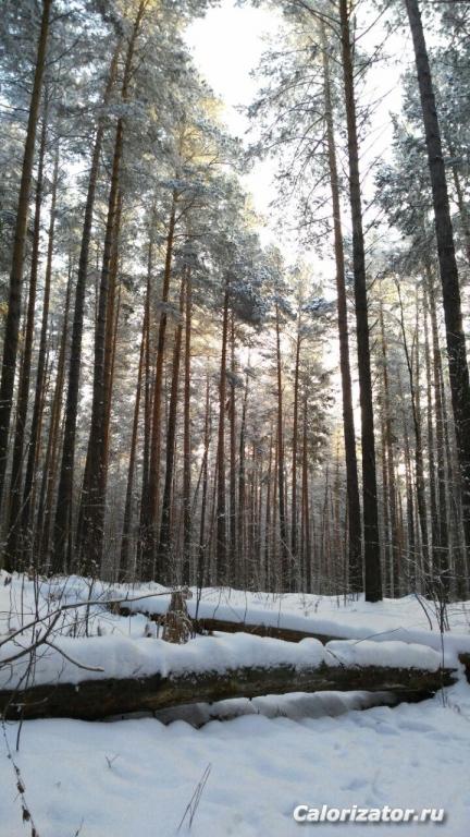 photo 2017-12-15 14-14-56
