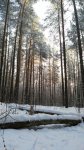 photo 2017-12-15 14-14-56