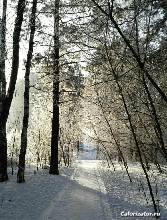 photo 2017-12-20 15-52-17