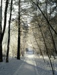 photo 2017-12-20 15-52-17