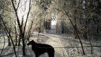 photo 2017-12-20 15-52-42
