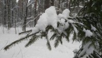 photo 2018-01-11 12-42-38