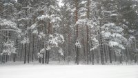 photo 2018-01-18 14-08-53
