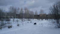 photo 2018-03-17 18-29-08