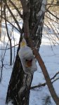 photo 2018-03-17 18-30-34