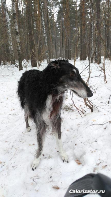 photo 2018-03-21 12-43-53