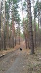 IMG 20180427 113801