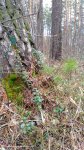 IMG 20180427 114323