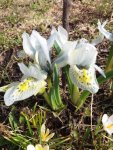 IMG-20180429-WA0004