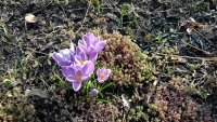 IMG-20180430-WA0002