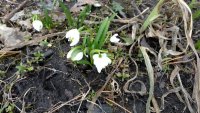 IMG-20180430-WA0004