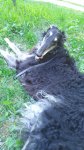 IMG 20180608 113601