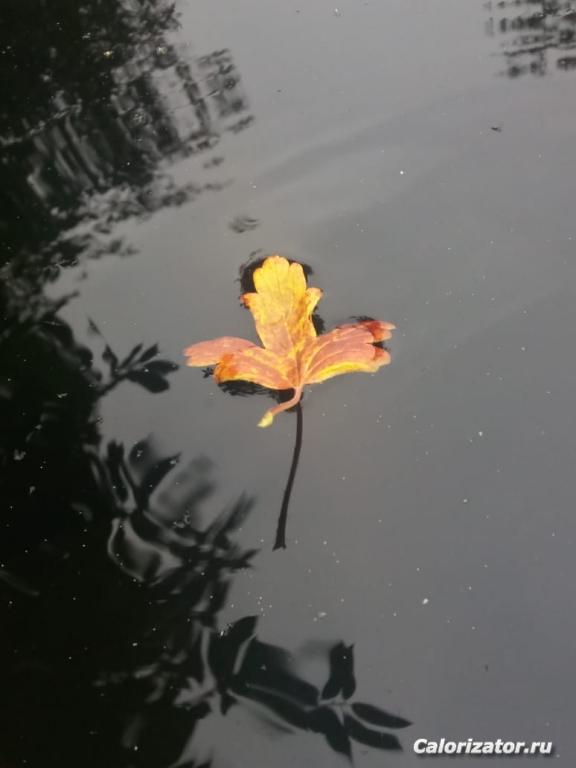 IMG-20180909-WA0004