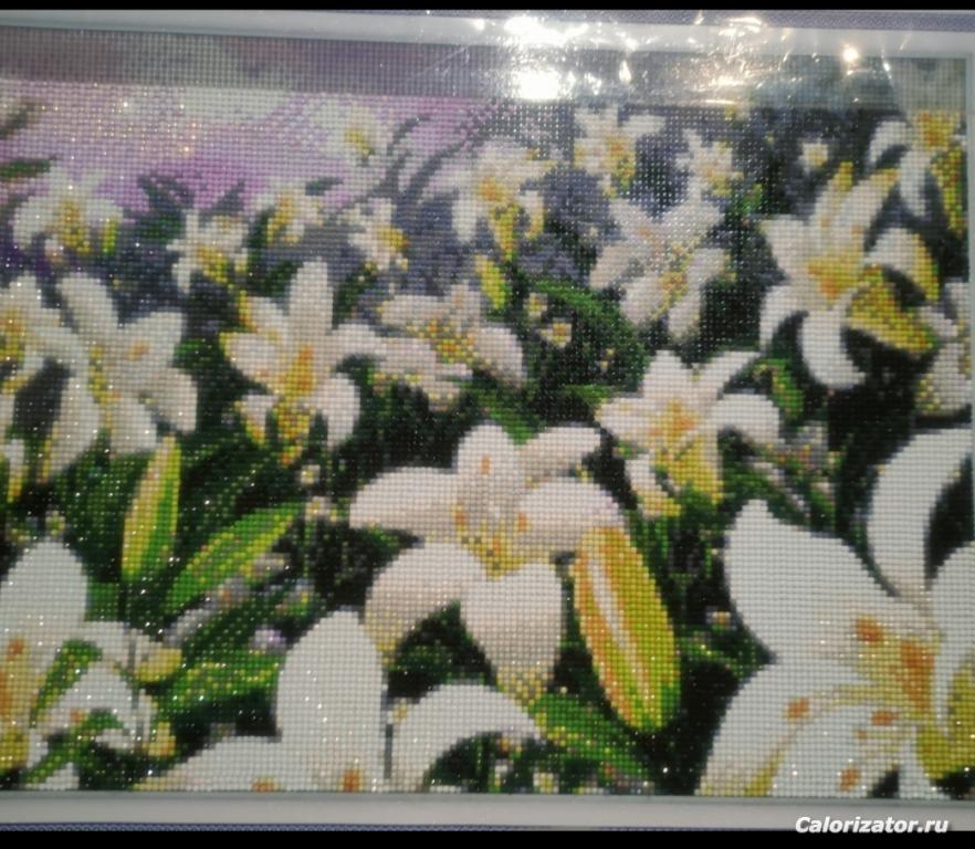 IMG 20230418 101019