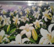 IMG 20230418 101019