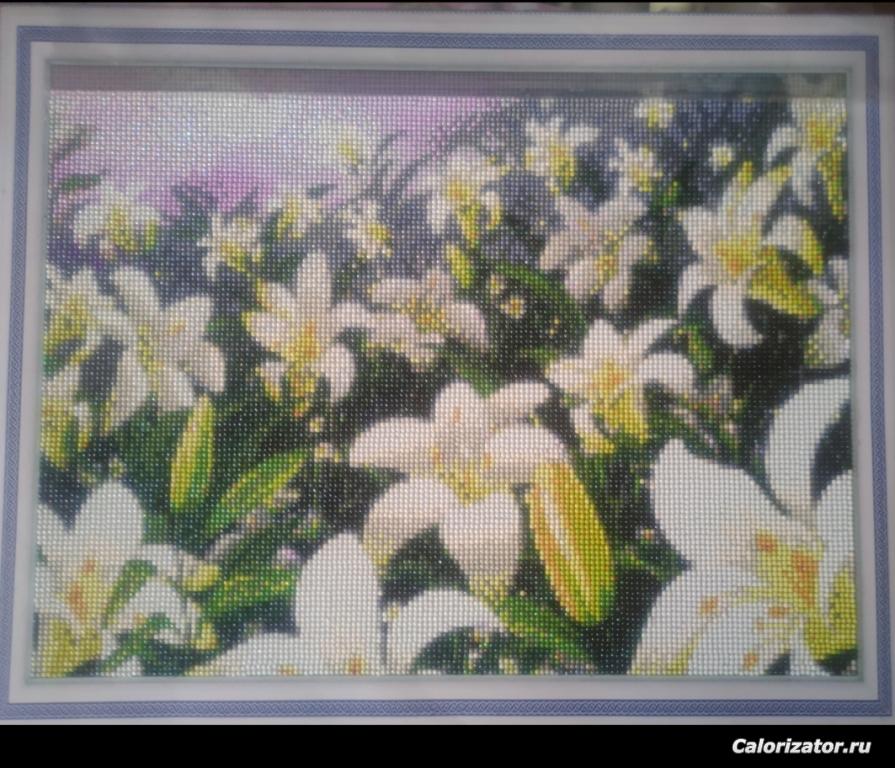 IMG 20230418 101004