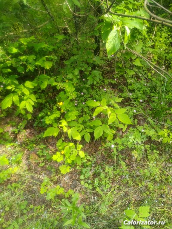 IMG20220604171241
