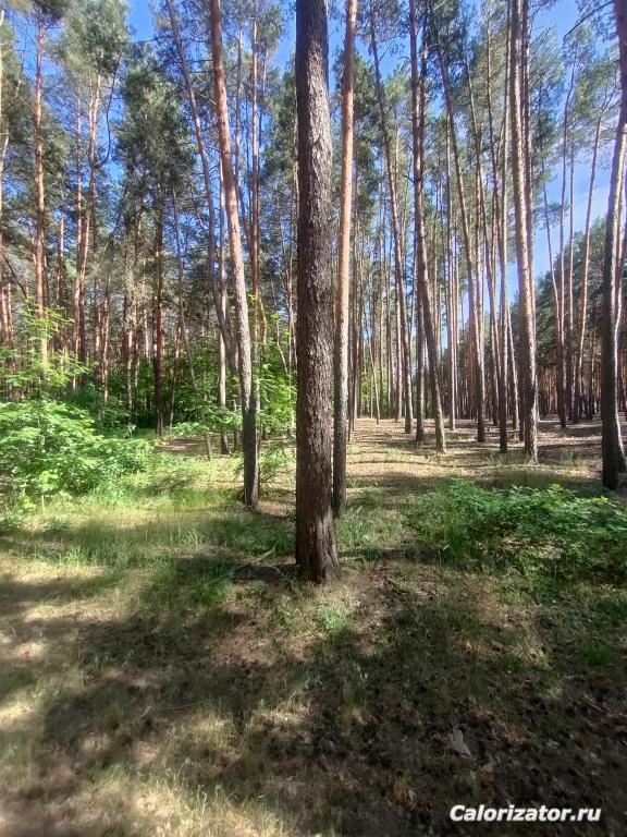 IMG20220604162516