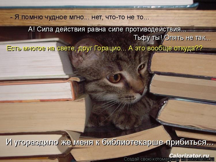 22200349 968ff6962148d8f04f213f9d8679d2c6 800