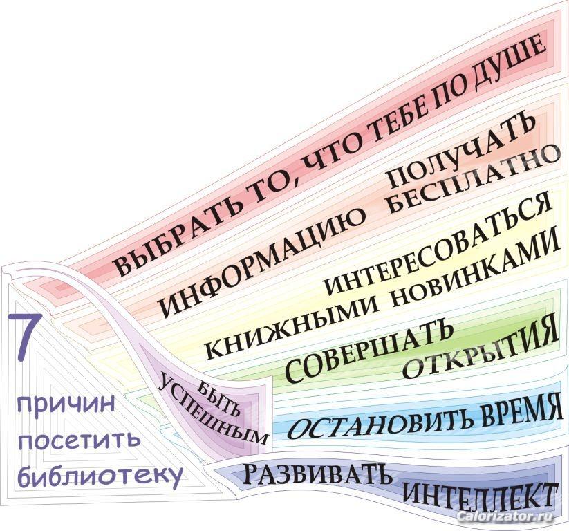 50617574